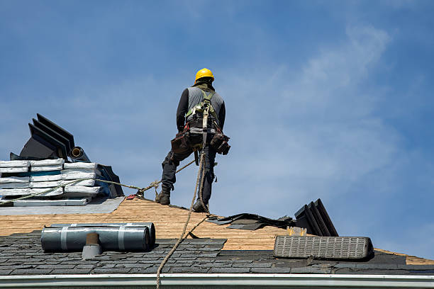 Professional Roof Installation technician working in Hampton, IL